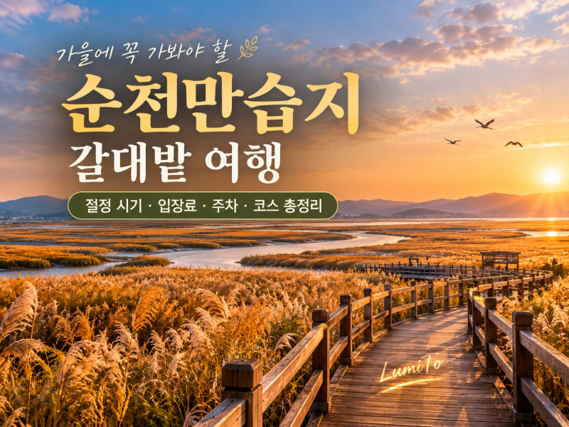 순천만습지 갈대밭 여행｜갈대 절정 시기·입장료·주차·용산전망대 코스 총정리