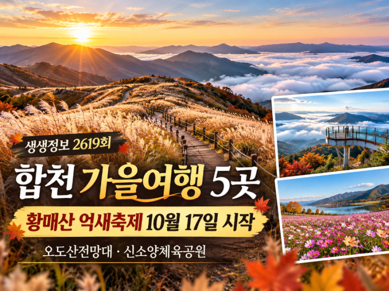 생생정보 2619회 합천 여행 5곳｜황매산 억새축제 10월 17일 시작, 지금 가기 좋은 이유