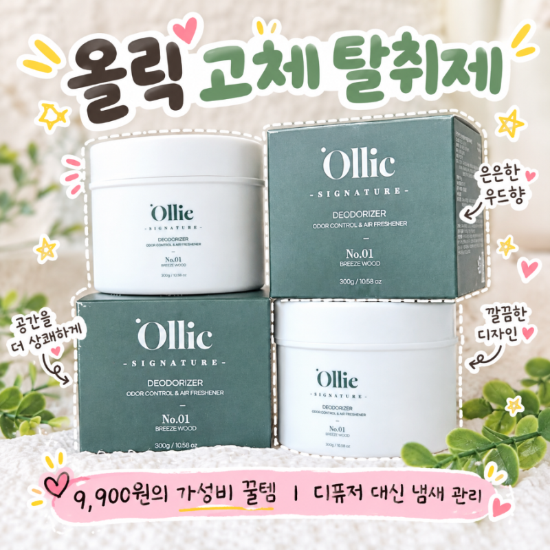 9,900원의 행복! 디퓨저 대신 올릭 고체 탈취제로 집 안 분위기, 냄새 관리 가성비 꿀템
