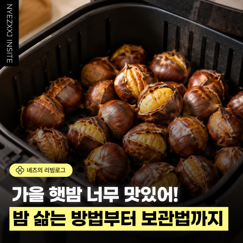 햇밤 맛있게 삶는 시간 밤 삶는 방법 껍질 잘 까는 법 보관법 에어프라이어 구이