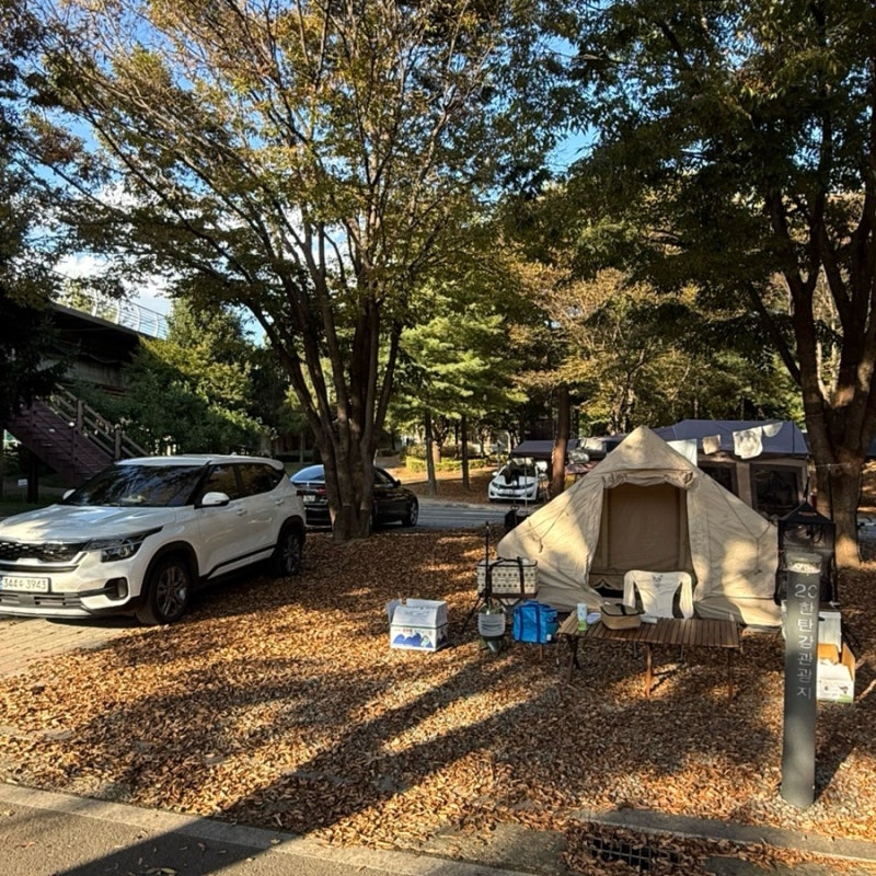 연천 한탄강관광지 오토캠핑장 20번 후기｜60번과 직접 비교