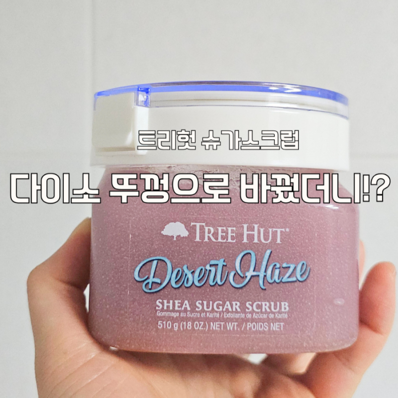 트리헛 슈가스크럽 사용 후기, 다이소 원터치 저장용기 활용 꿀팁
