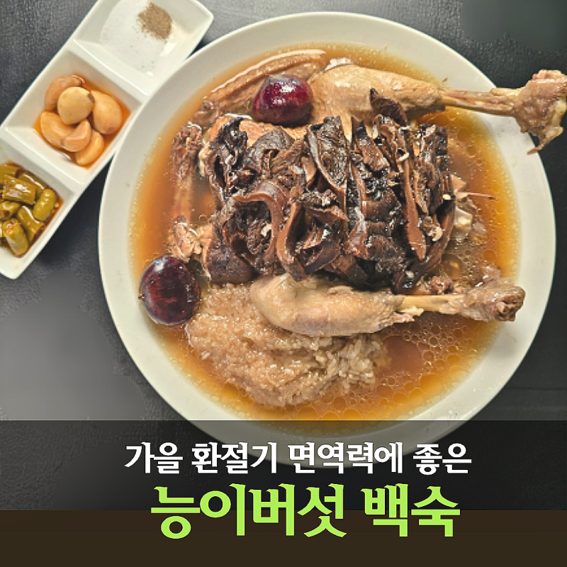 능이버섯 백숙 레시피 가을 환절기 보양식 면역력 높이는 음식