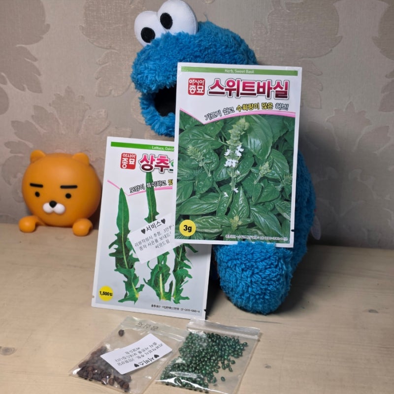 씨앗드림 아시아종묘 허브 씨앗 바실 종자 바질 스위트바질 바질키우기