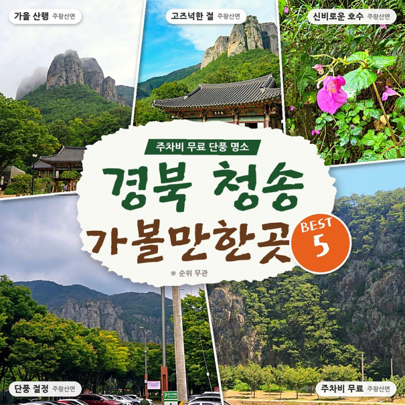 주차비·입장료 0원에 단풍까지.. 경북 청송 가볼만한곳 BEST 5