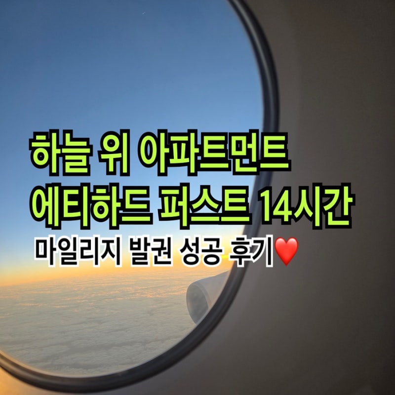 [에티하드 아파트먼트] 곽튜브가 탄 세상에서 제일 비싼 퍼스트 클래스, 하늘 위 아파트에 14....