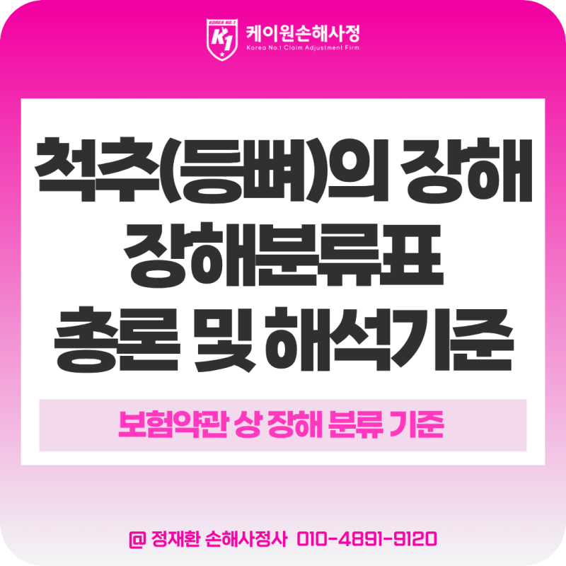 척추의 장해 분류표 총론 - 압박골절·고정술·허리디스크에 따라 장해 지급률이 달라지는 이....
