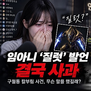 임아니 ‘질럿’ 발언 결국 사과…구월동 칼부림 사건에 무슨 말을 했길래?