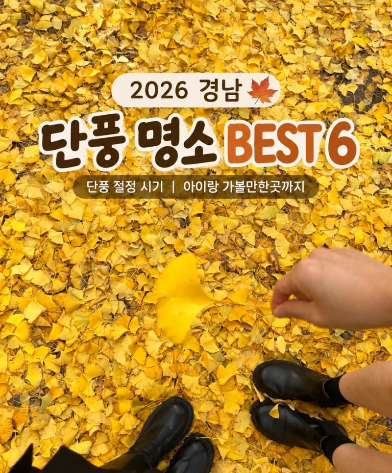 2026 경남 단풍 명소 BEST 6｜단풍 절정 시기부터 아이랑 가볼만한곳까지