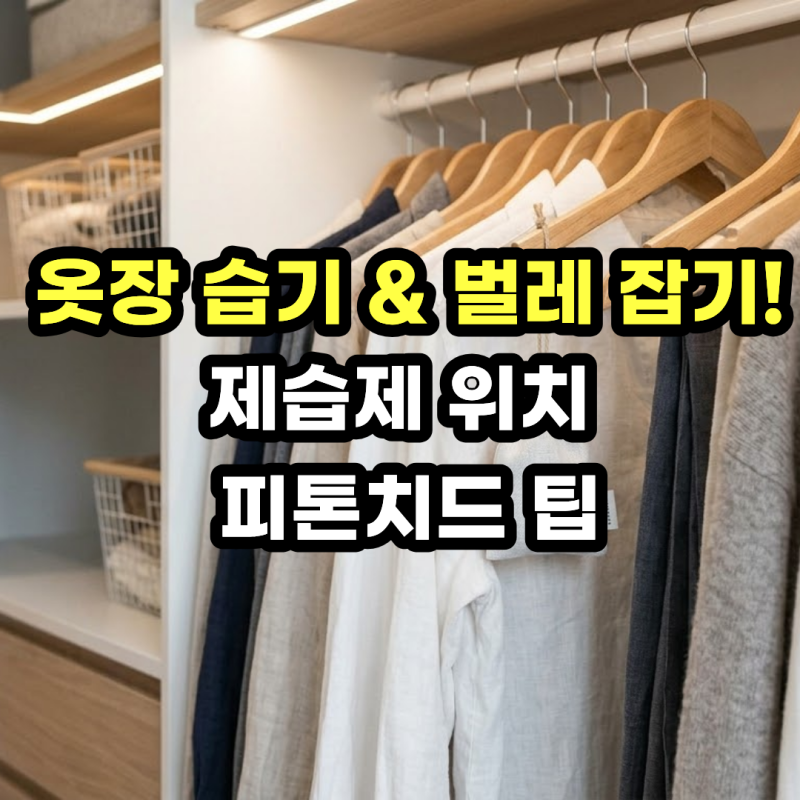 옷장 습기 제거 및 다듬이벌레 퇴치! 드레스룸 곰팡이 냄새 방충제 활용법