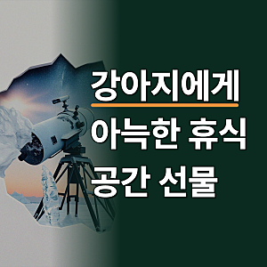 리치독스 강아지 접이식 애견 침대 캠핑 핑크 소형 쇼파 KERUI 해먹