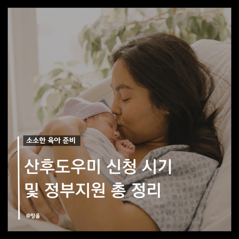 산후도우미 신청 시기 및 정부지원