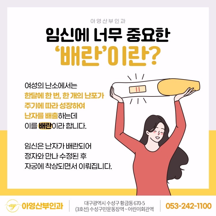 대구여의사산부인과, 배란초음파 시기 생리 시작일부터 계산할까?
