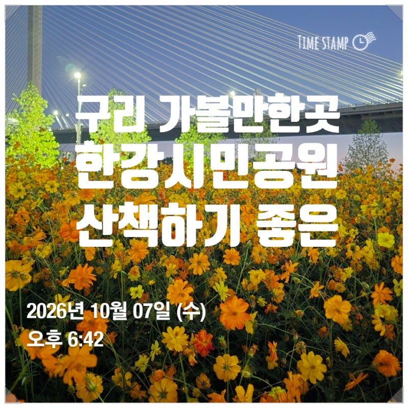 서울 근교 산책하기 좋은 야경 예쁜 구리한강시민공원 주차