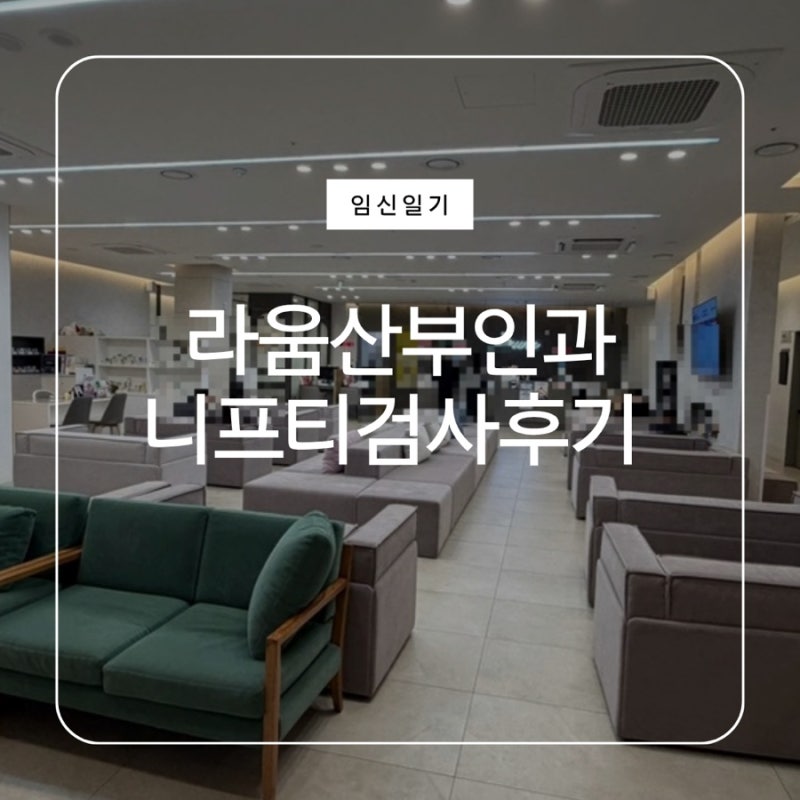 [임신일기_02] 10주차 니프티 검사 후기 / 평택 라움산부인과 니프티 검사