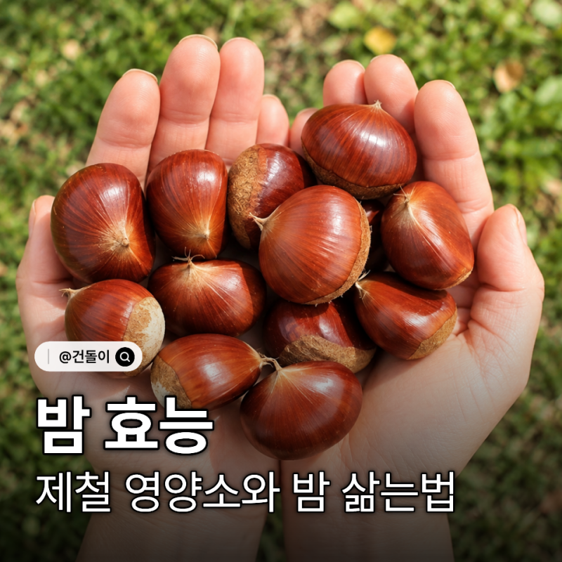 밤 효능 제철 영양소와 밤 삶는법
