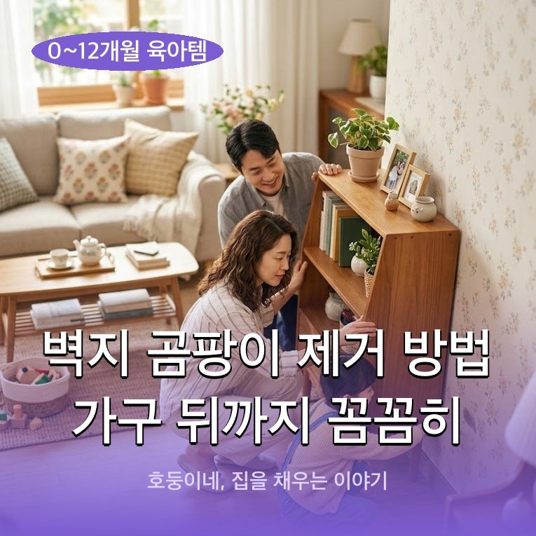 벽지 곰팡이 제거 방법 가구 뒤까지 꼼꼼히