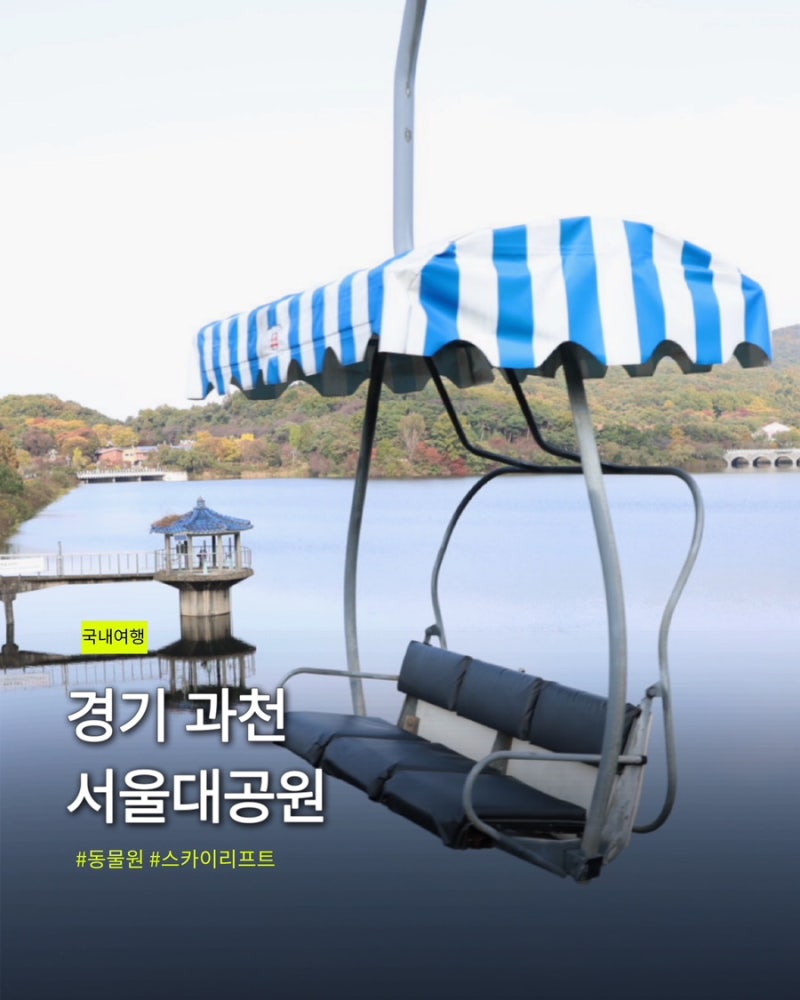 올해가 마지막! 서울대공원 리프트 패키지 할인 동물원 단풍 주차장