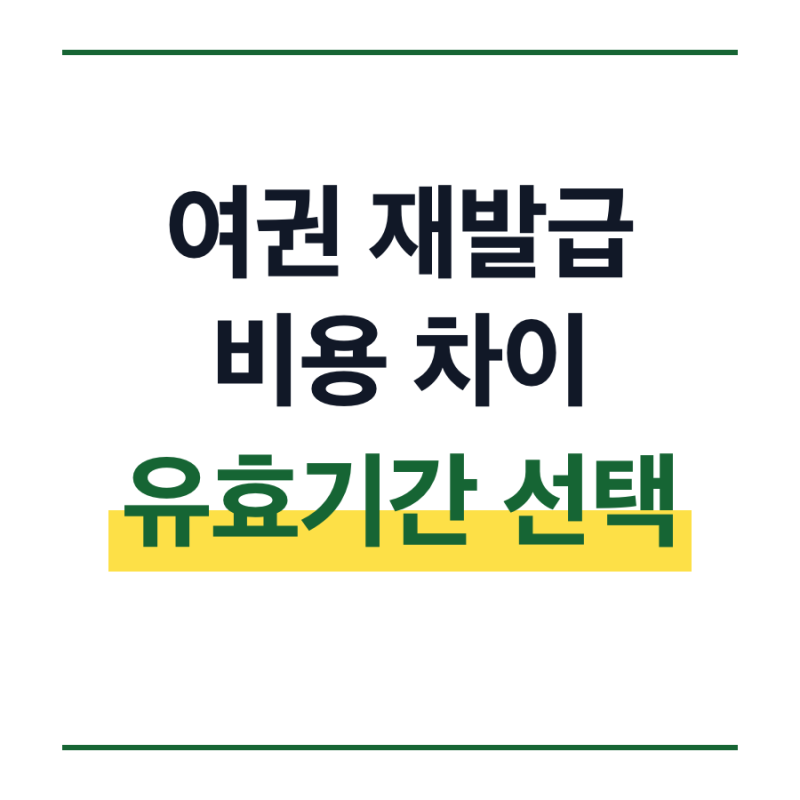 여권 재발급 비용 차이 수수료 10년 5년 카드결제 온라인
