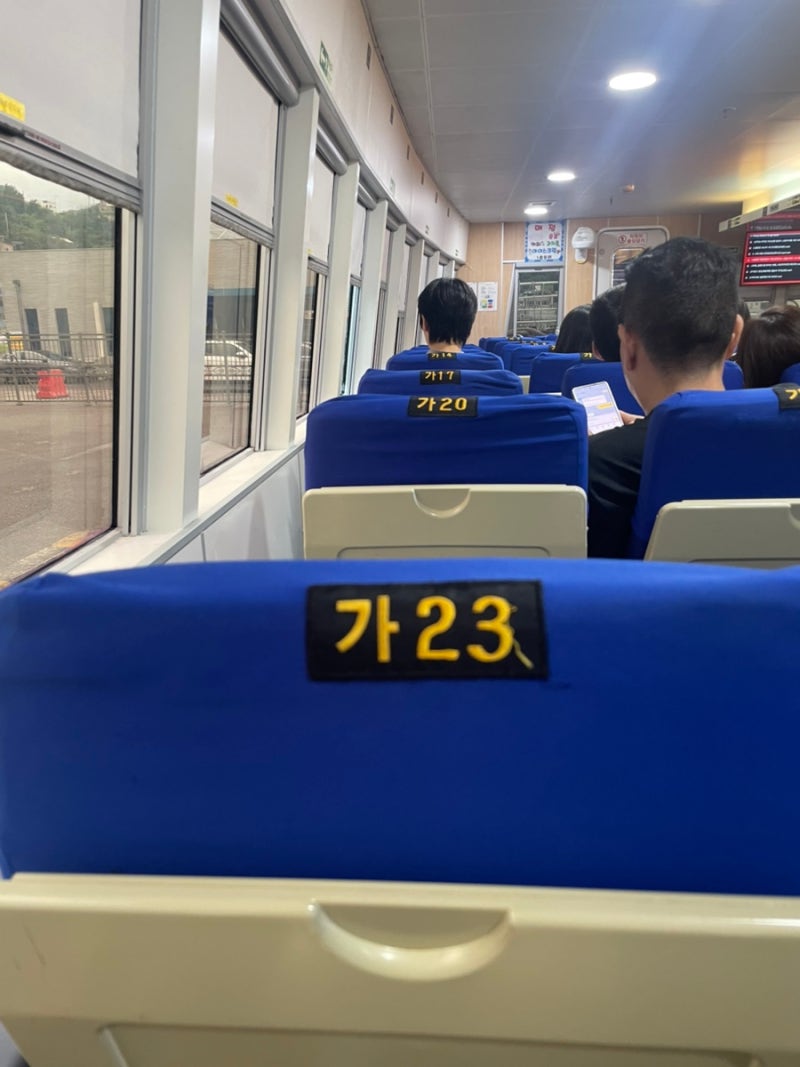 울릉도 여행/ 돌고래 만난 후기! 묵호항에서 씨스타1호 타고 울릉도 가기