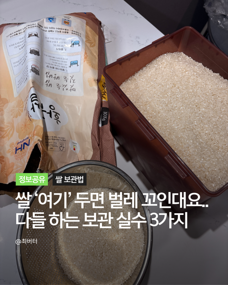 햅쌀 사 왔다면 잠깐만요.. 쌀통 말고 다들 '여기' 넣더라고요? 쌀벌레 안 생기는 보관법 3가....