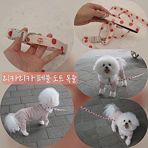 강아지목줄 추천!리카리카 페블 도트 목줄!두부의 첫 목줄착용 후기!