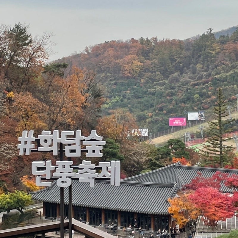 화담숲 예약 주차 모노레일 단풍 절정 및 사계절 방문 후기