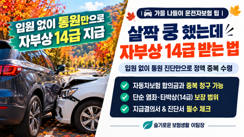 가을 단풍 구경 교통사고: 입원 안 해도 '자부상(자동차사고부상치료비) 14급' 챙기는 서류는?