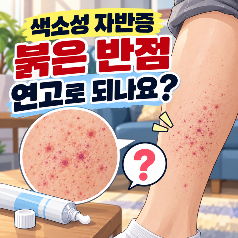 색소성 자반증 붉은 반점 연고로 되나요? 모세혈관염 증상과 치료 순서