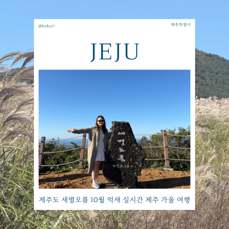 제주도 새별오름 10월 억새 실시간 제주 가을 여행 가볼만한곳 추천