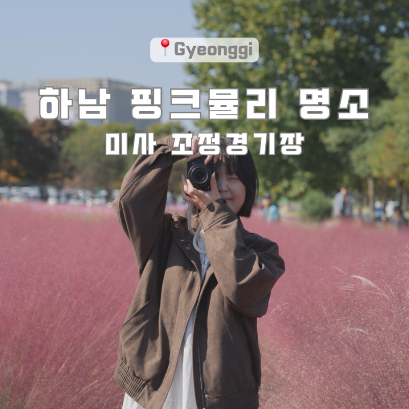 하남 미사 조정경기장 핑크뮬리 코스모스 후기｜위치 주차 가을 나들이