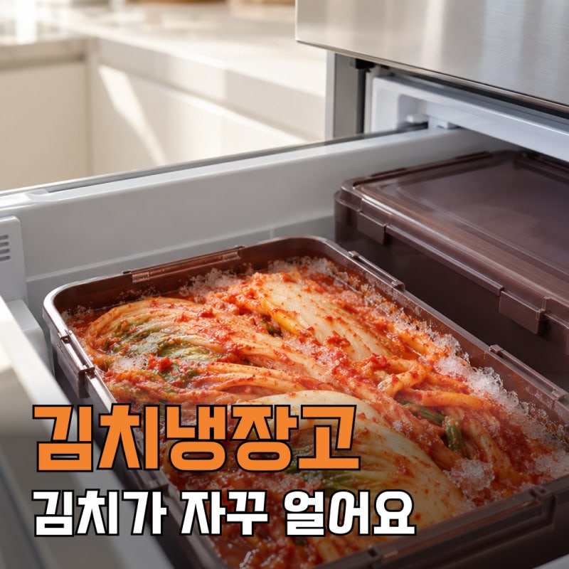 김치냉장고 김치가 자꾸 얼어요, 어는 이유, 온도 설정부터 확인할 것들