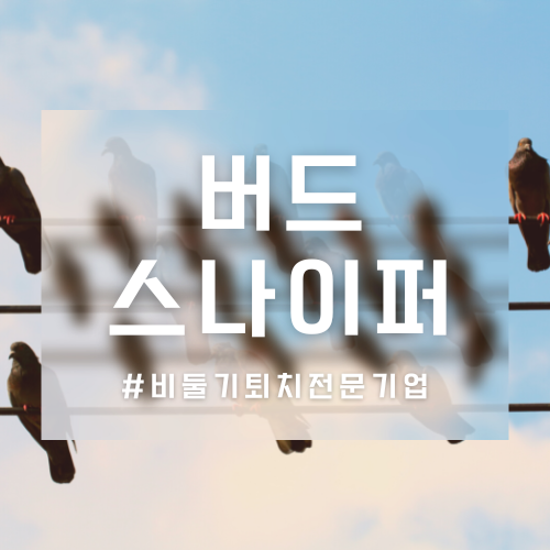 강서구 염창월드메르디앙 아파트 실외기 비둘기퇴치망 설치, 새똥청소