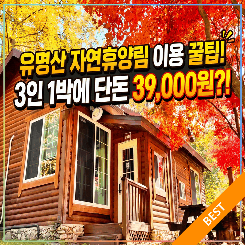 3인이 1박 하는데 고작 39,000원이라니 놀라운 국립유명산자연휴양림 이용 팁