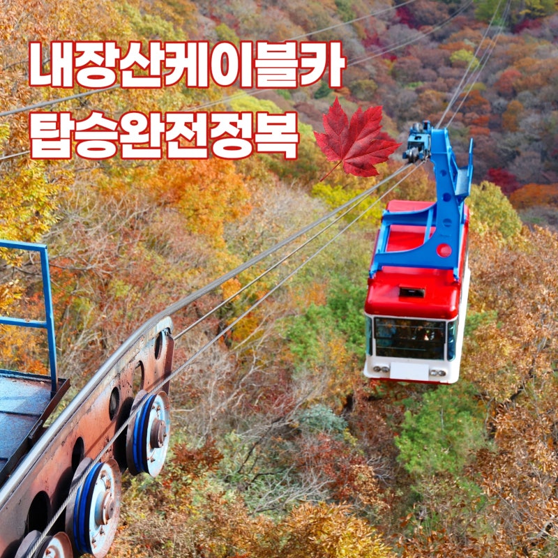정읍가볼만한곳 내장산 국립공원 단풍 시기 내장산케이블카 탑승 정보