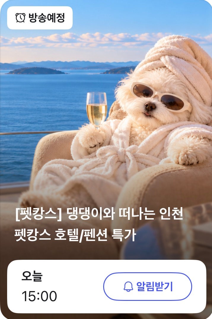인천 애견동반 숙소 최대 87퍼 할인 송도 영종도 강화도 펫캉스 라이브 특가