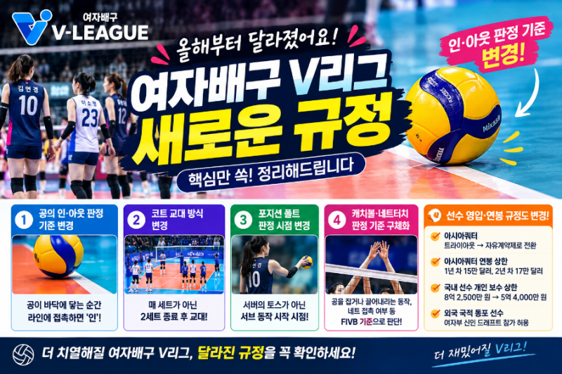 여자배구 팬 필독! 올해부터 새로 바뀐 V-리그 규정 완벽 정리