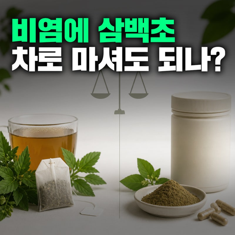 삼백초추출물 LHF618, 삼백초차로 마셔도 같은 효과일까? 식약처 비염 개별인정형 원료!