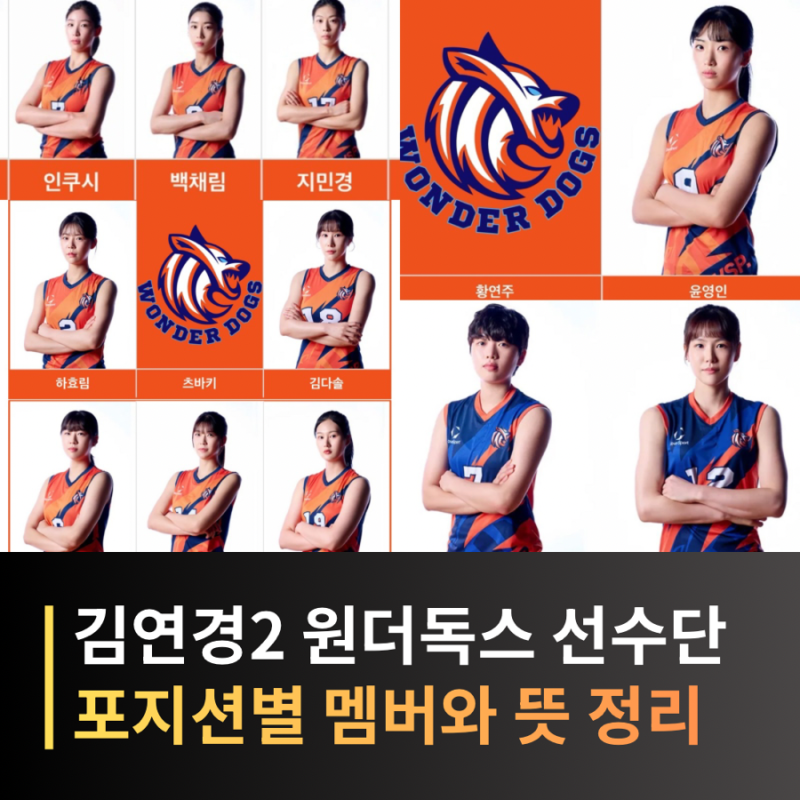 신인감독 김연경2 원더독스 선수단 총정리, 인쿠시부터 포지션별 멤버와 뜻