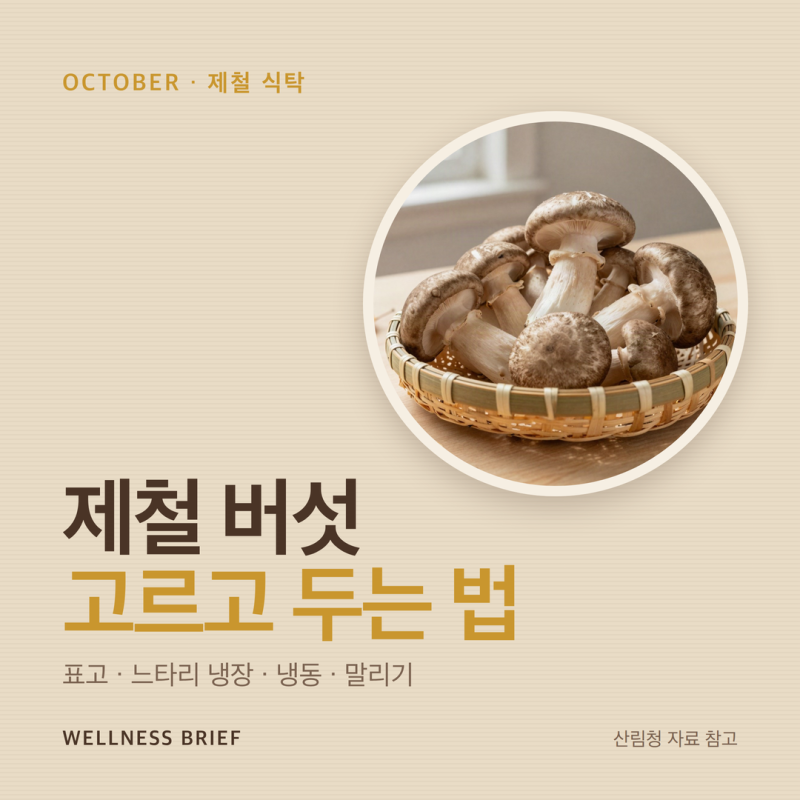 10월 제철 버섯 고르는 법과 보관법, 표고·느타리 냉장·냉동·말리기 정리