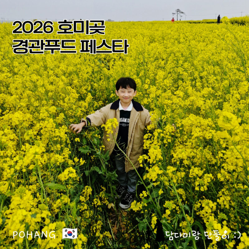 2026 포항 호미곶 경관푸드 페스타｜아이와 가볼만한곳 축제·여행코스