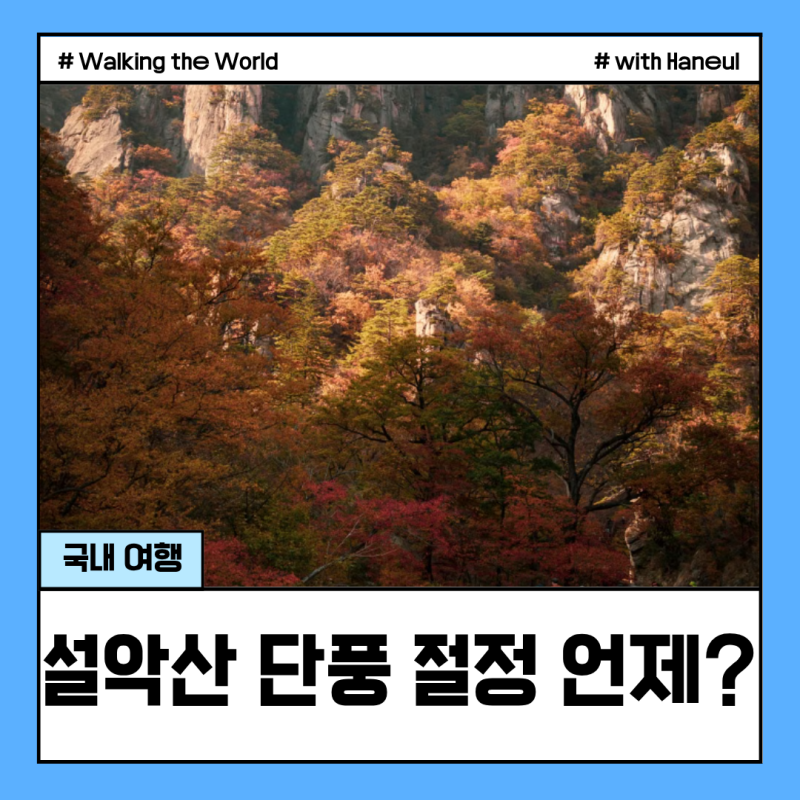 설악산 단풍 언제 가는게 좋을까? 절정 시기 여행 코스 숙소 추천까지