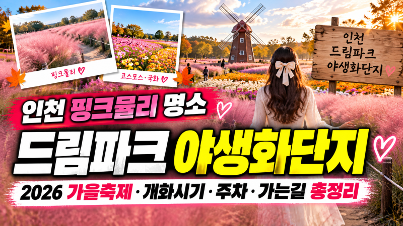 2026 인천 핑크뮬리 명소 추천｜드림파크 야생화단지 개화시기·가을축제·무료주차 총정리