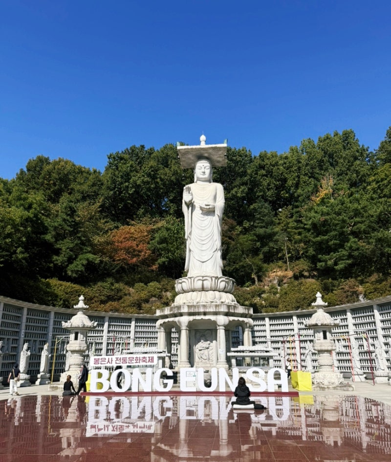서울 강남 봉은사 기도 방법 동선 소원초 주차 불교용품 방문 후기