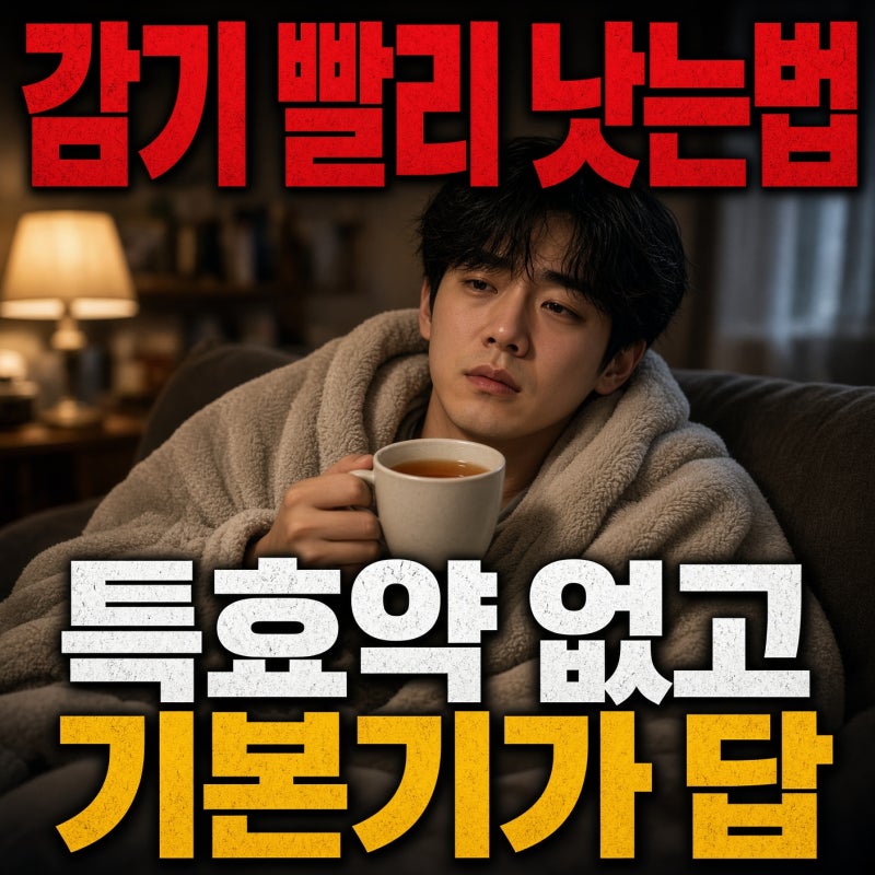 감기 빨리 낫는법, 목감기와 기침멈추는법까지 회복 순서 정리