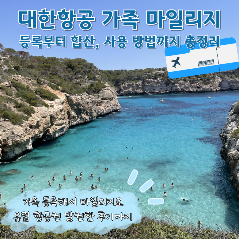 직접 대한항공 가족 마일리지 등록하고 합산해서 예매한 후기(합산 사용 방법 팁!)