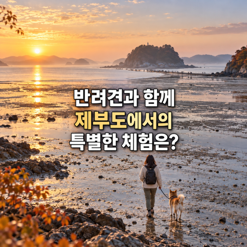 반려견 동반 제부도 갯벌체험 1만9천원, 바닷길 하루 두 번 열리는 물때에 운영