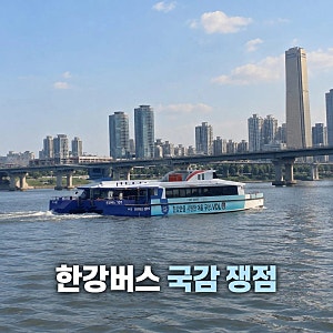 한강버스 공방 리베이트 의혹과 국감 쟁점