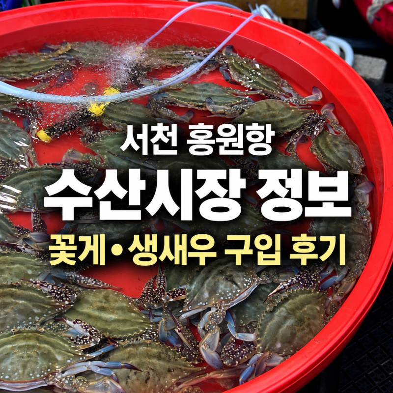 서해안 서천 여행가면 여기서 사드세요 [서천 홍원항 수산시장]