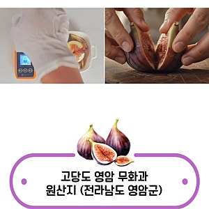 영암 무화과 500g, 과일부티크 고당도 16~20브릭스 선별 생무화과 가격·보관법